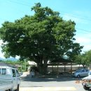 용장4리 이미지