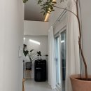 베어포레스트 스테이 | [제주/서귀포] 베어포레스트스테이, 감성 독채펜션