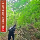 희방 제2주차장 공중화장실 | 소백산 희방계곡을 더 특별하게 즐기는 방법, 생태탐방원 프로그램