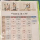 2020027 | [신중동 필라테스] 부천시청 필라테스 전문 S바디워크필라테스 부천중동점