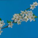 한마음 요양원 | 부모님 거동 힘드시다면 일산서구 추천 요양원 한마음노인요양원 편안한 돌봄 제공