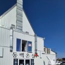 예삐애견 | 파주 맛집 동백온실 오리주물럭 내돈내산 후기