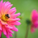 운중체육공원2 이미지