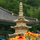 부림사 이미지