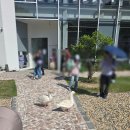 부산약국 | 부산 근교 가볼만한곳 라벤더축제 느티나무의사랑카페 후기