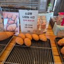 청주 율량동 대형카페 스톤폴스 인공폭포뷰 단체모임