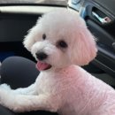 나나그룸 이미지