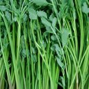 닭이봉 五!味 닭갈비 이미지