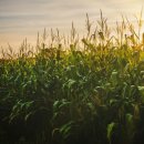 DB손해보험 노동조합 | DB운전자보험(한문철 운전자보험) 가격, 보장내용 완벽 정리 – 2025년 최신판