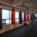 드래곤복싱체육관 이미지