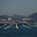 어구마을 티스토리