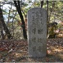 낙덕정 Daum카페
