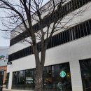 스타벅스 파주가람점 이미지