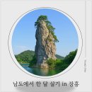탐진한우 | 2025 남도에서 한 달 살기 in 장흥 – 참가자 모집