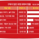 송충현 | 베일벗은 유튜버 소득… 7명이 45억 숨겨
