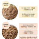 토핑플러스 이미지