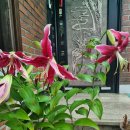 나리뷰티 이미지