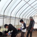 숲속청계농장 이미지