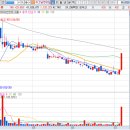 엘153인베스트먼트