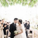 달하우스 이미지