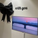 우리스테이 | [부평 파티룸] 강아지 동반 가능한 부평 파티룸 내돈내산 후기✨🎀
