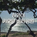 공원치안센터 | 하와이 드라이브 코스 추천! 숨은 명소 키오우 비치 공원 (Keaʻau Beach Park)