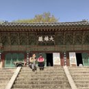금정사 Daum카페