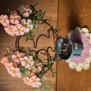 신데렐라 이미지