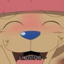 토끼의 선물 이미지