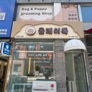 올데이독 이미지