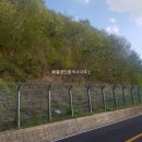 고흥목장 티스토리