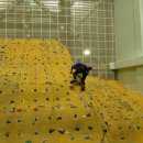 송도스포츠센터 이미지