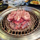 시드니램1901 이미지