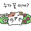 피브밀카페 이미지