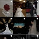 메리그레이스 | W09. 빈티지 감성 아이폰스냅 메리블로썸 계약 후기 feat. 신도림 라마다 세인트그레이스홀