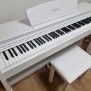 분당-250 이미지