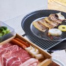 오션 캣 이미지