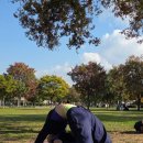 신체균형 댄스요가 | [뚝섬 한강공원 야외요가] 2025년 가을을 보내주며, 한 해의 마지막 야외요가