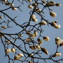 신용산초등학교 이미지