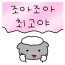 수피아C동