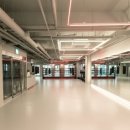 언더독 복싱 이미지