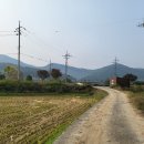 중앙로~물무로 이미지