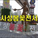 명품가로공원 이미지