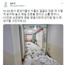 윤석열 개세키 이미지