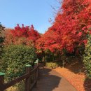 장복산길 이미지