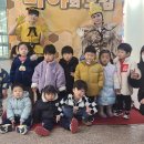 뮤지컬 꿀벌마야의 모험 이미지