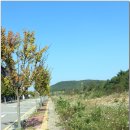 永宗島(인천 국제공항)에서 가장 높은(?) 白雲山(백운산)에서 바라본 풍경들. 이미지