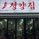 냅다청양집속초조양점 이미지