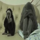 미금수뿔 - 중구 종로 38 | 미금수뿔