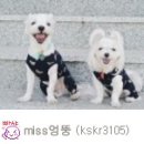Miss 멍 이미지
